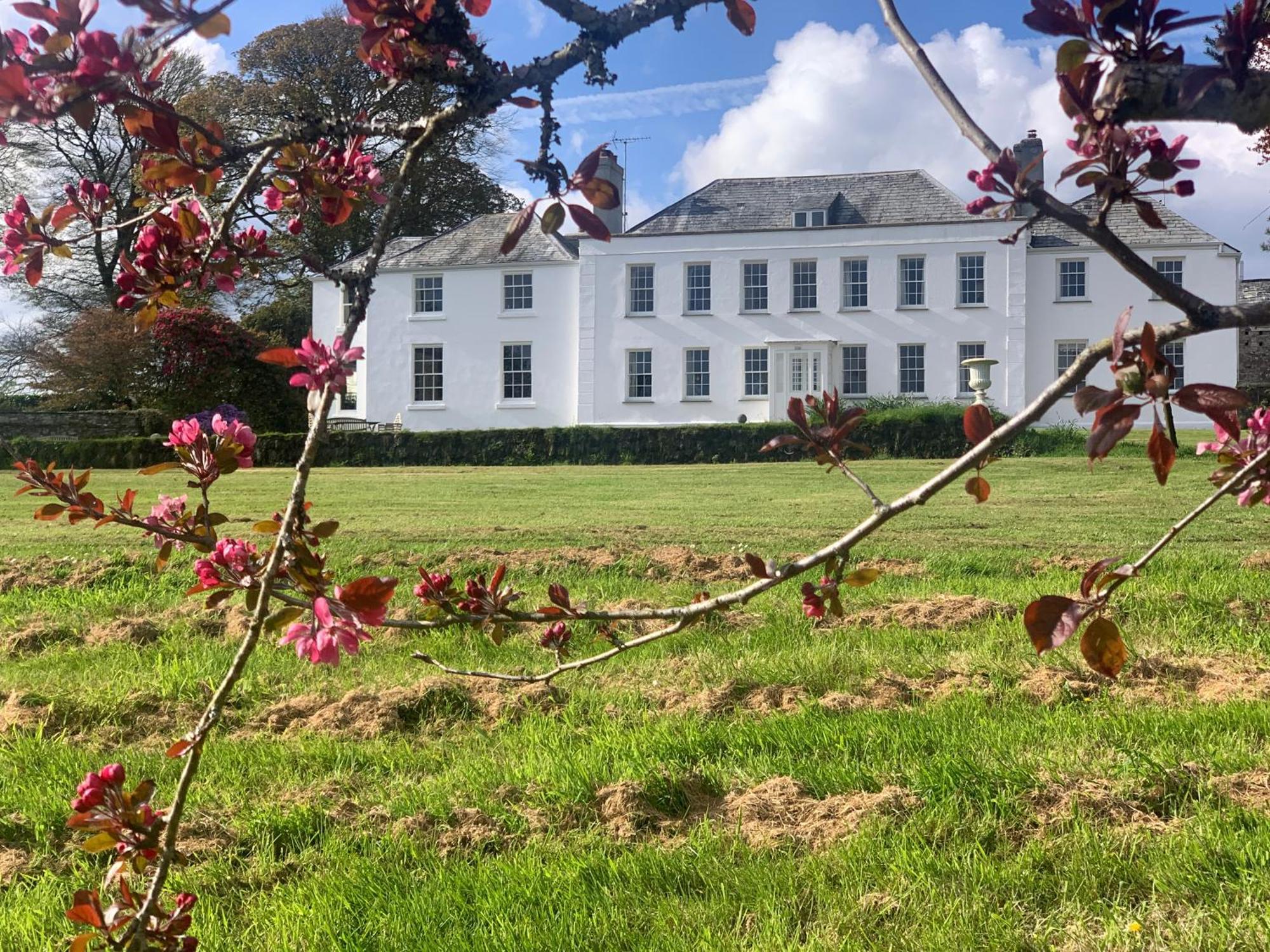 Bed and Breakfast Trewardale Bodmin Zewnętrze zdjęcie